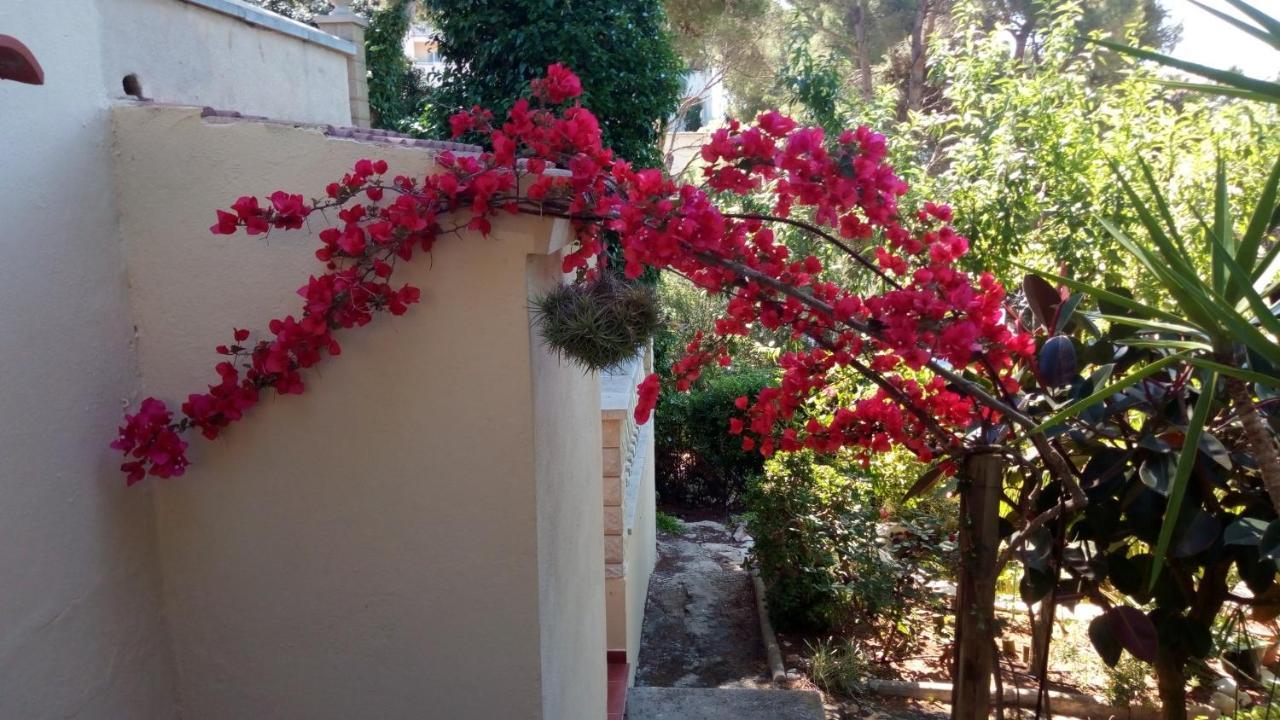 Villa Casa Montse à Cala Galdana  Extérieur photo